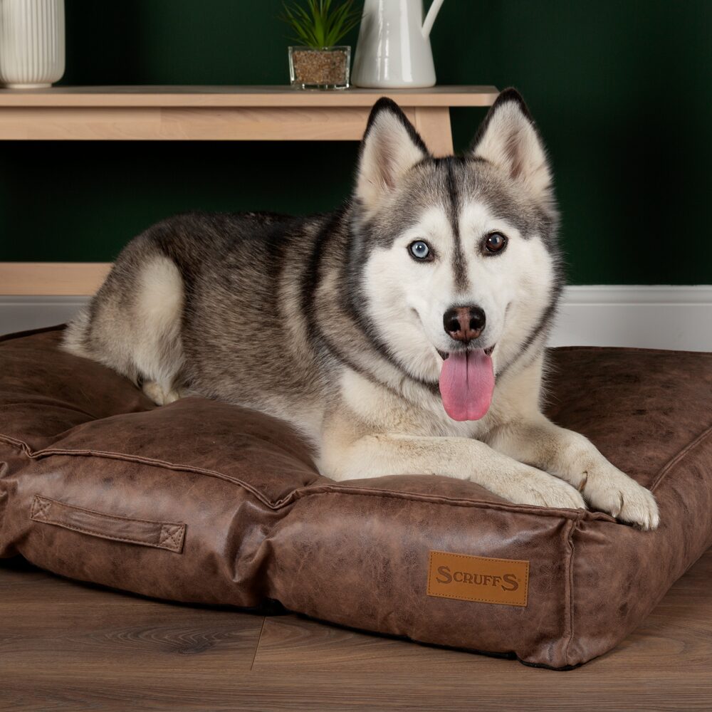 Knightsbridge Dog Mattress (Chocolate, Turquoise, Grey or Olive) by Scruffs-9