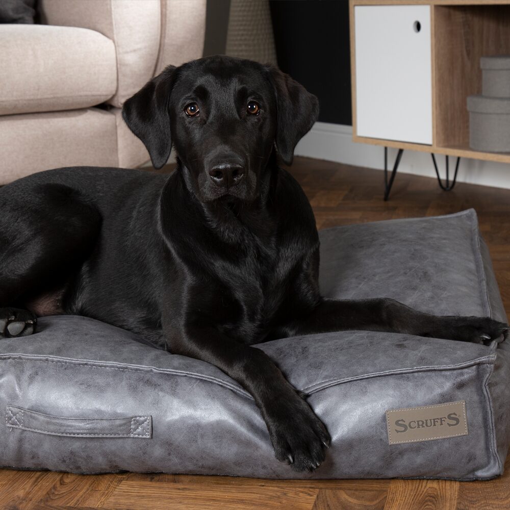Knightsbridge Dog Mattress (Chocolate, Turquoise, Grey or Olive) by Scruffs-7