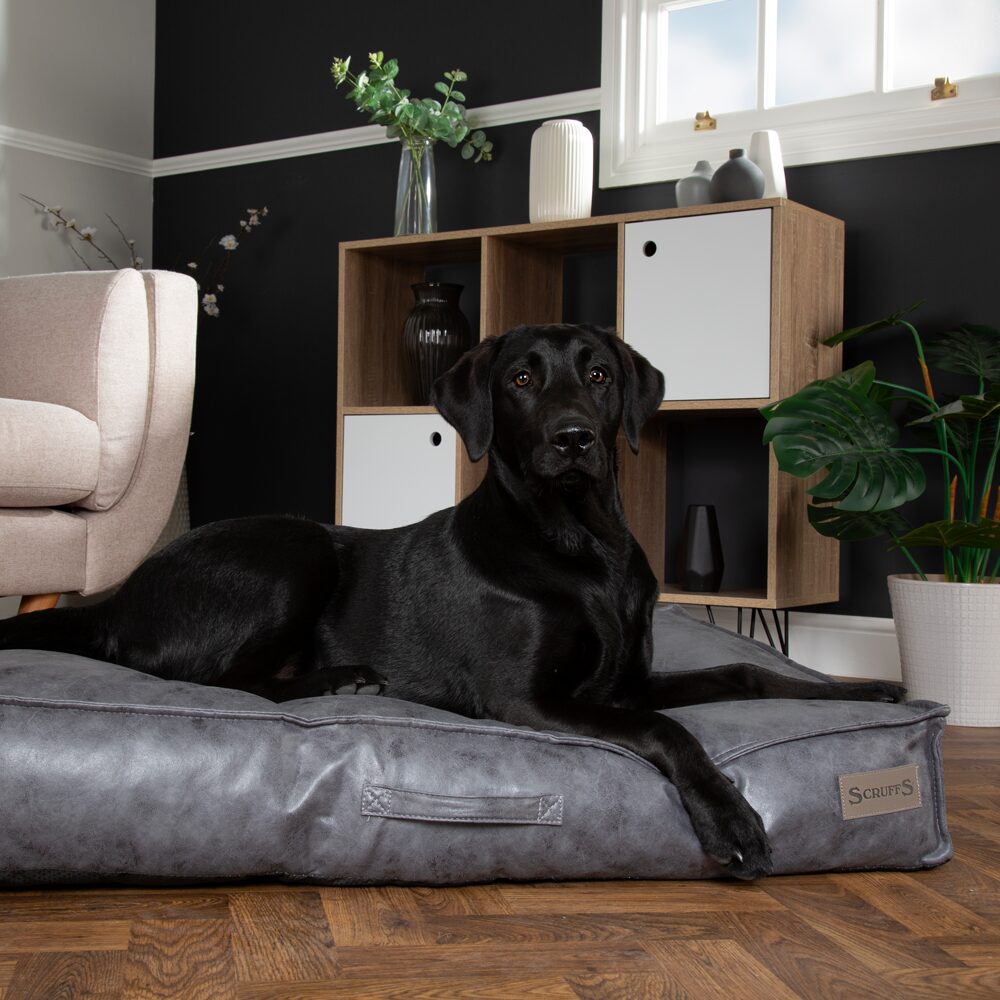 Knightsbridge Dog Mattress (Chocolate, Turquoise, Grey or Olive) by Scruffs-11