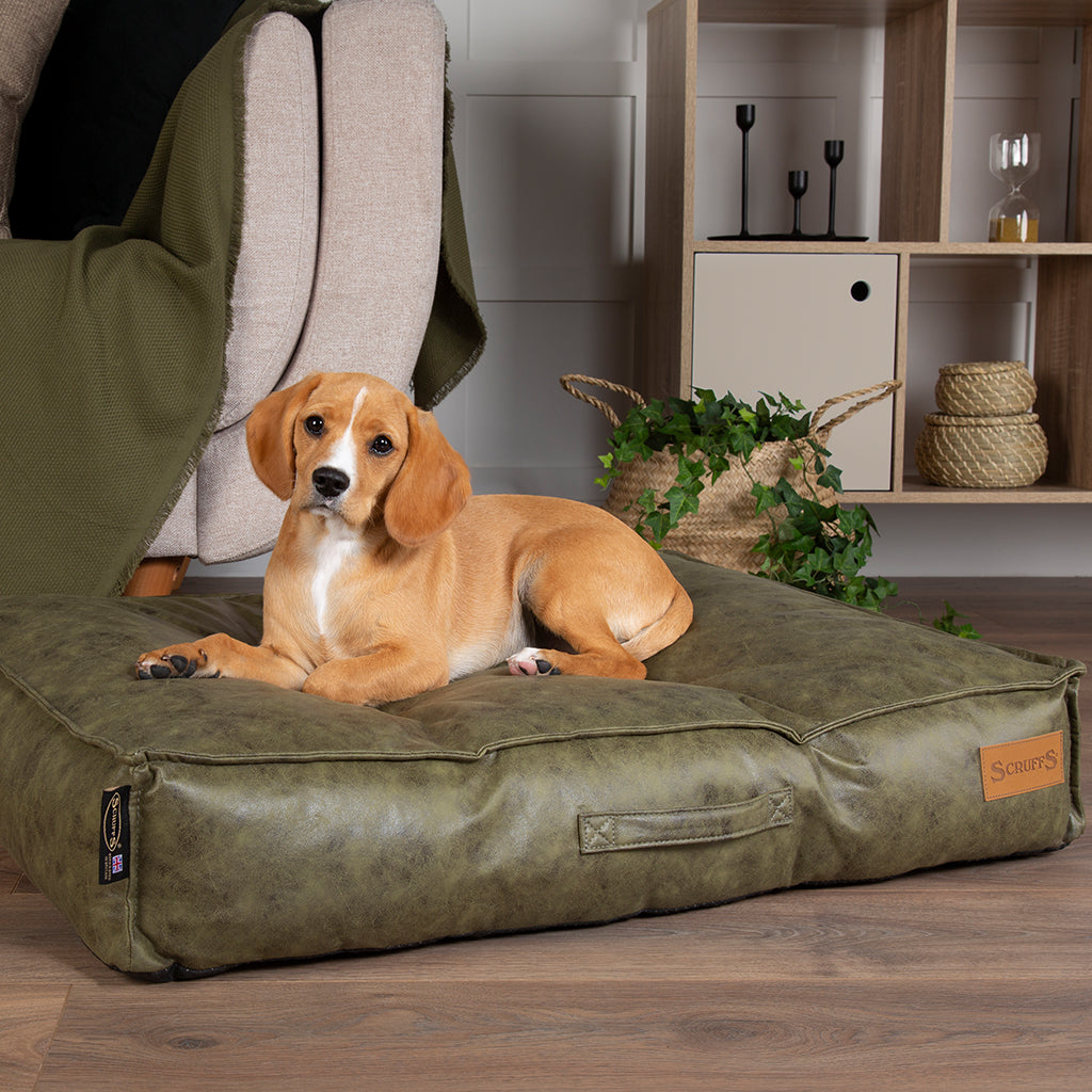 Knightsbridge Dog Mattress (Chocolate, Turquoise, Grey or Olive) by Scruffs-8