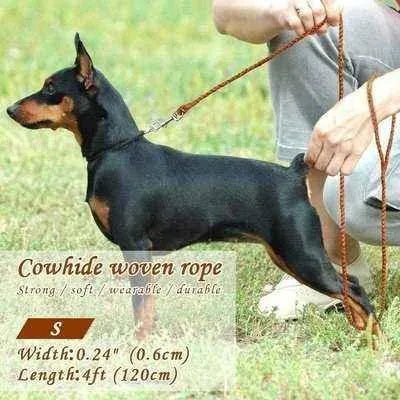 Stylish 4ft Rolled Leather Dog Leash 🐾-3