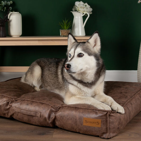 Knightsbridge Dog Mattress (Chocolate, Turquoise, Grey or Olive) by Scruffs-0