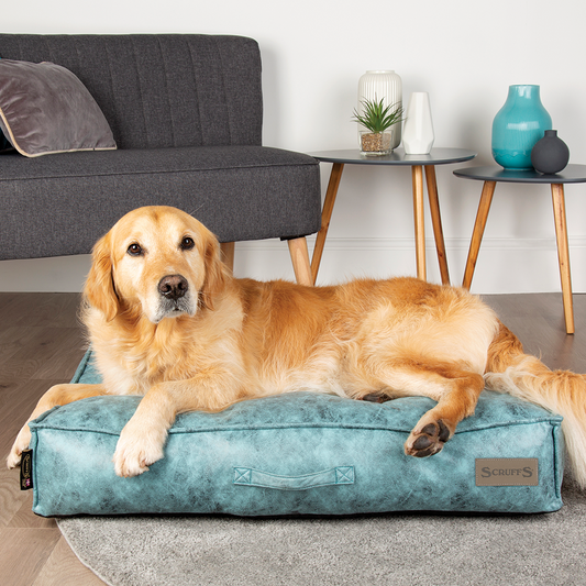 Knightsbridge Dog Mattress (Chocolate, Turquoise, Grey or Olive) by Scruffs-10