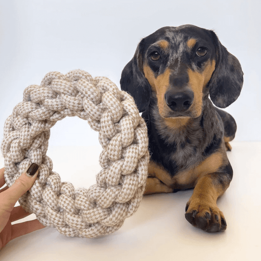 Natural Hemp Rope Dog Toys – by Furry Tails-1